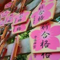 記憶力