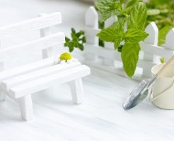 カモミールティー　効果　効能　カフェインについて解説